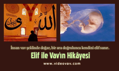 3880491769_fb91918321