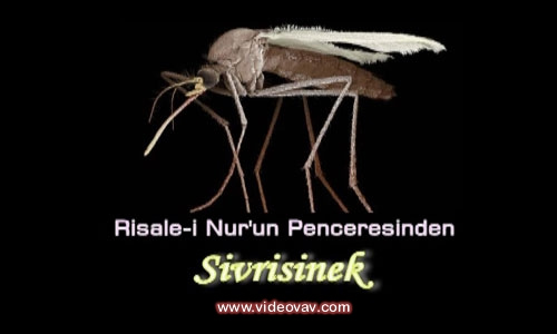 3919595126_f54144cd4b
