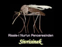Sivrisinek